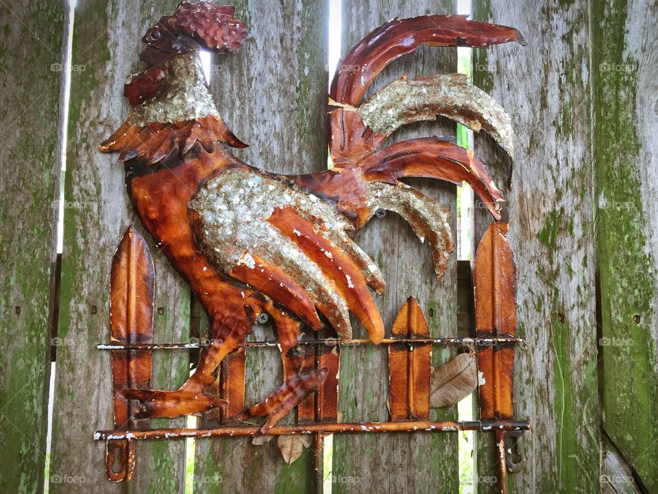 RUSTY RUSTIC ROOSTER