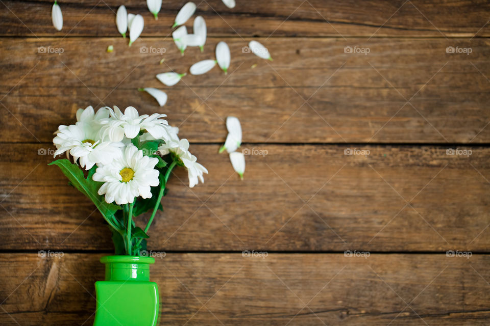 High angle view of beautiful white flowers