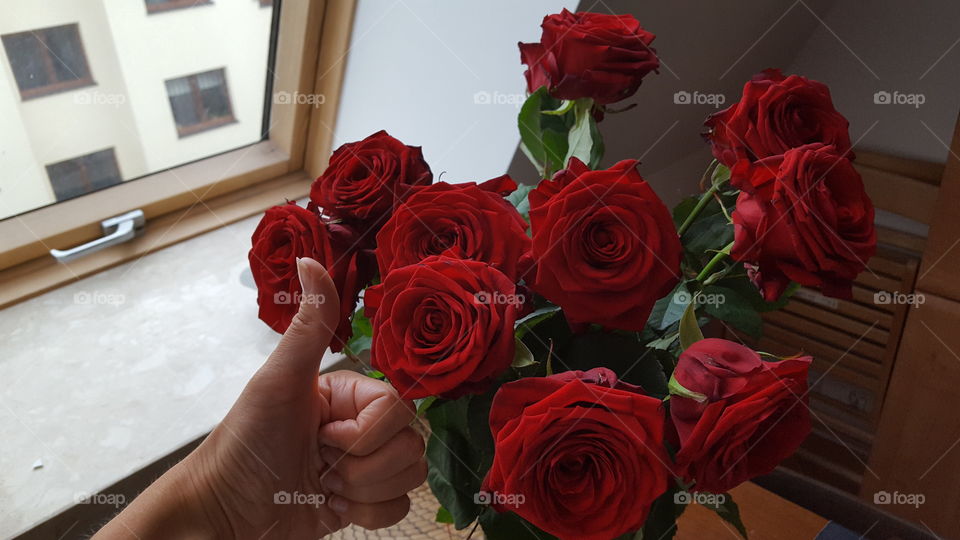 beautiful red roses