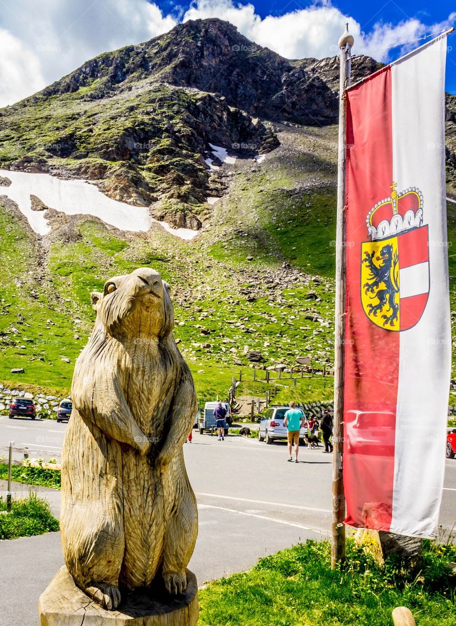 Marmot austria 