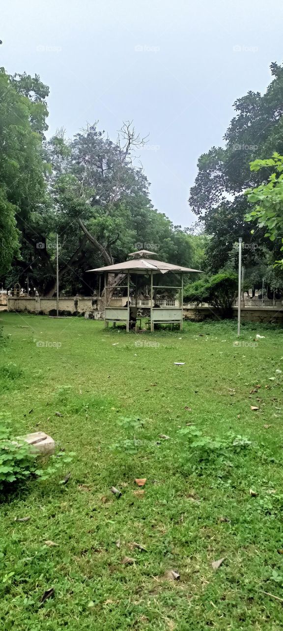 garden view in evening