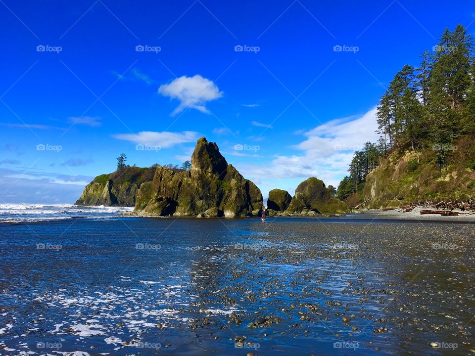 Ruby Beach, Pacific Ocean, Olympic Peninsula, Washington State 