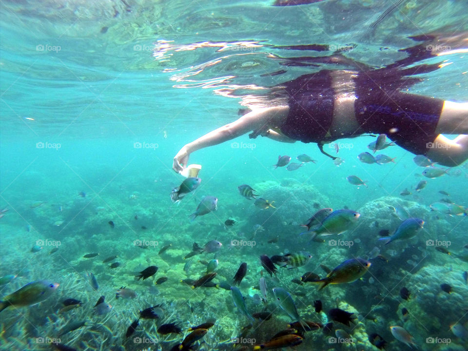Snorkeling, swimming Boy feeding fish underwater