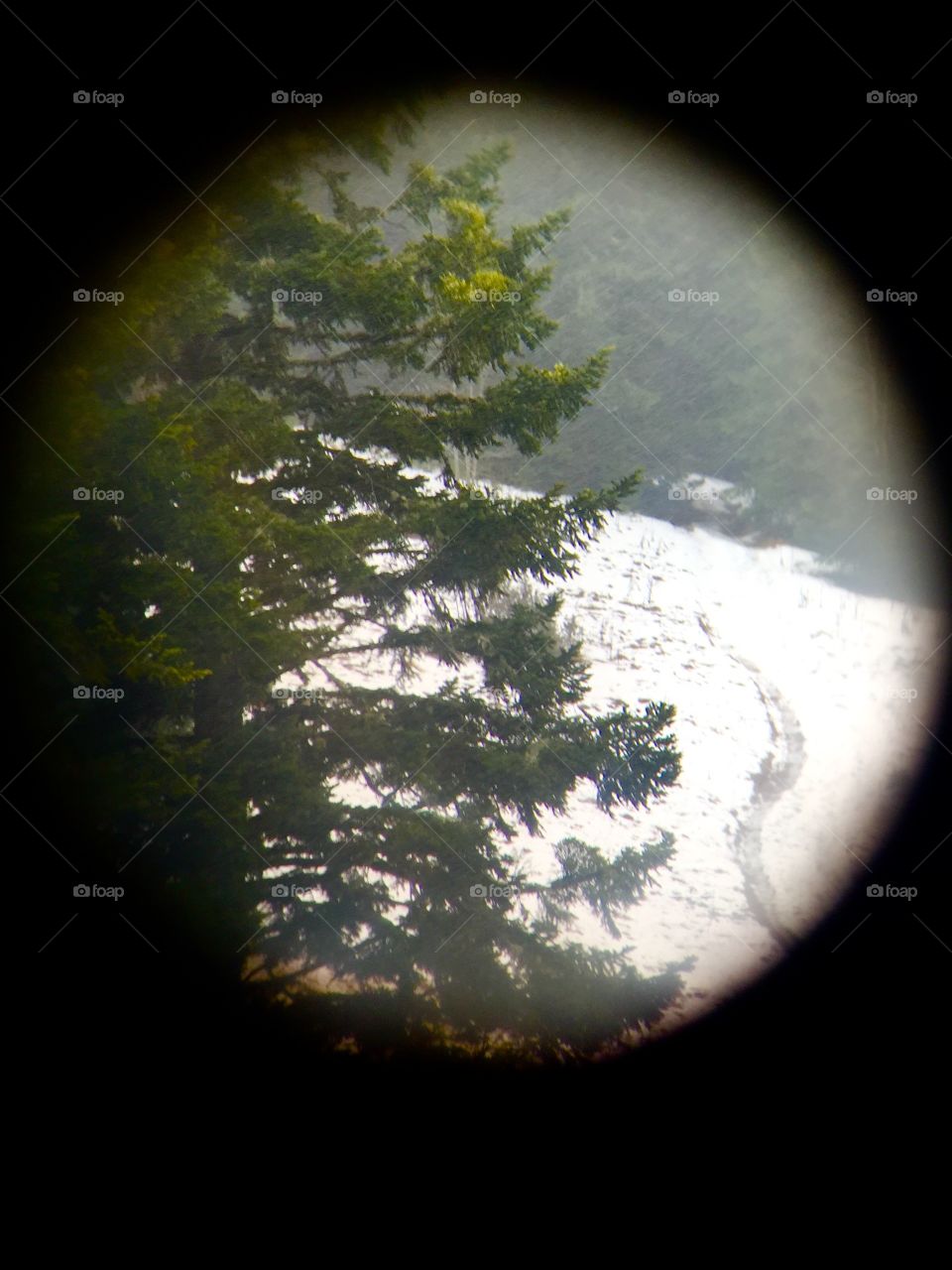 Yeah im pretty sure its somewhere around