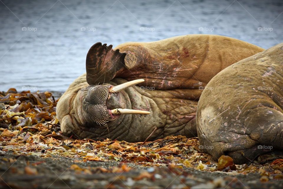 I don’t hear what you need to tell me