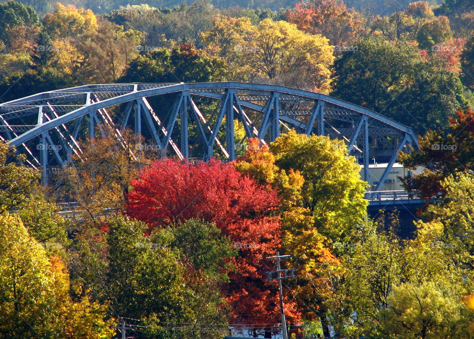 Fall bridge