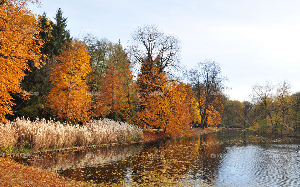 Warsaw park view 