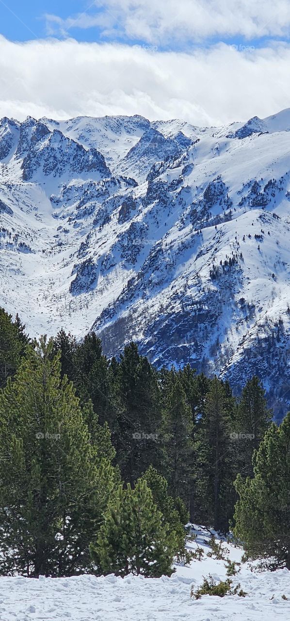 paysage des Pyrénées