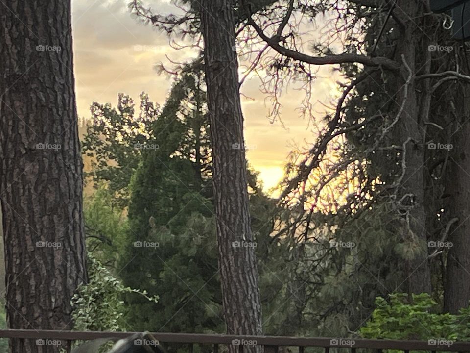 Sunset from the back deck. 