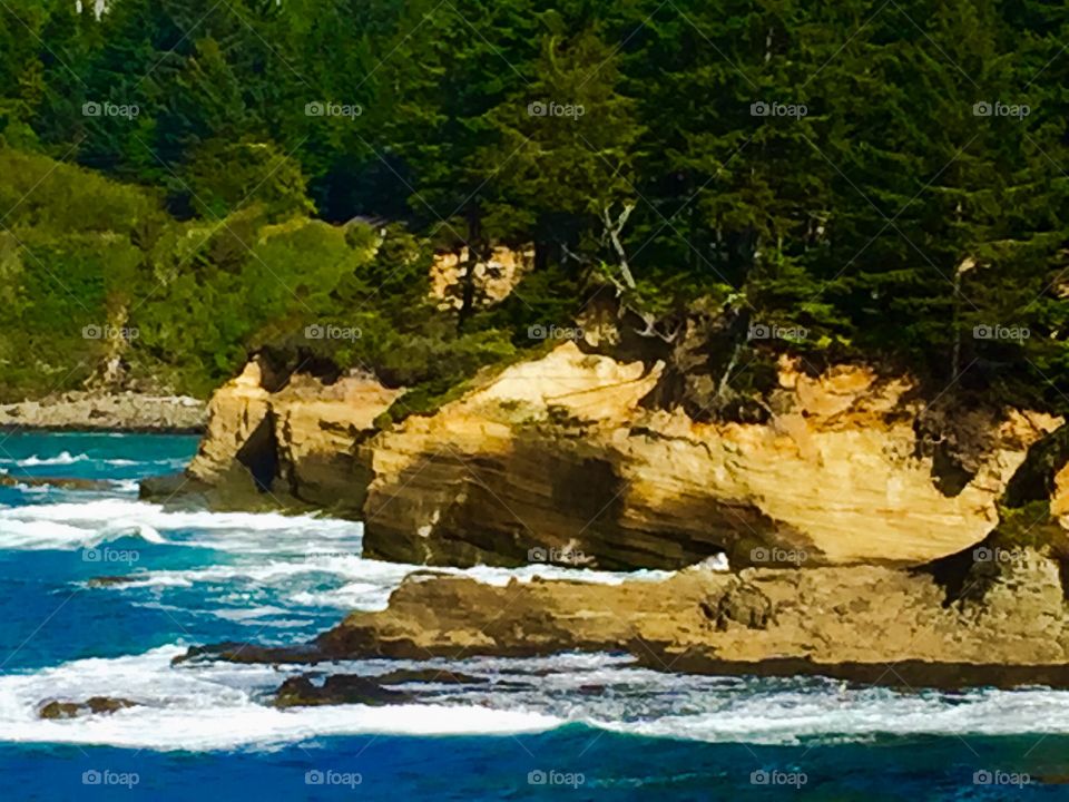 Oregon Coast Beauty in Texture