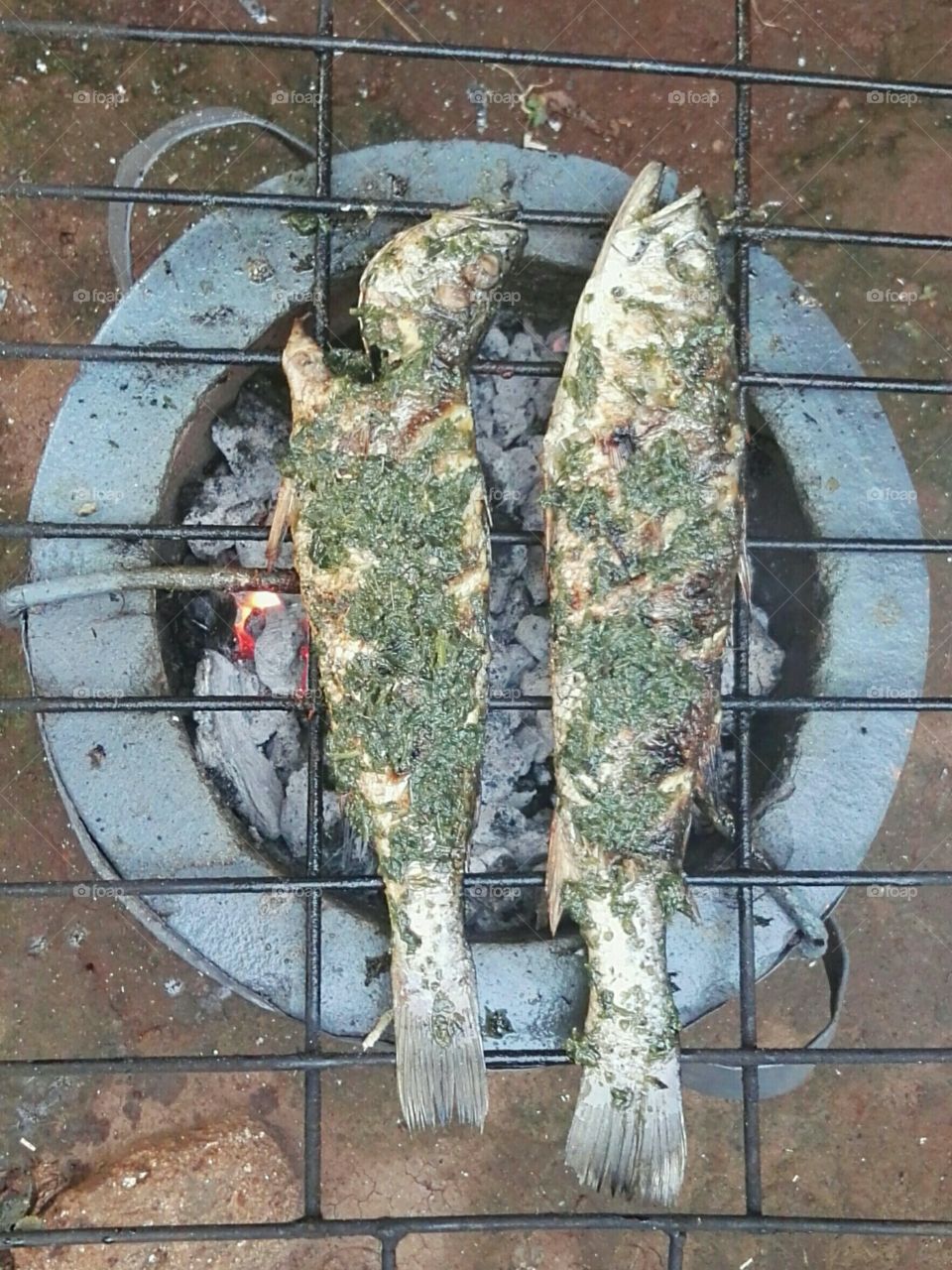 roasted fish