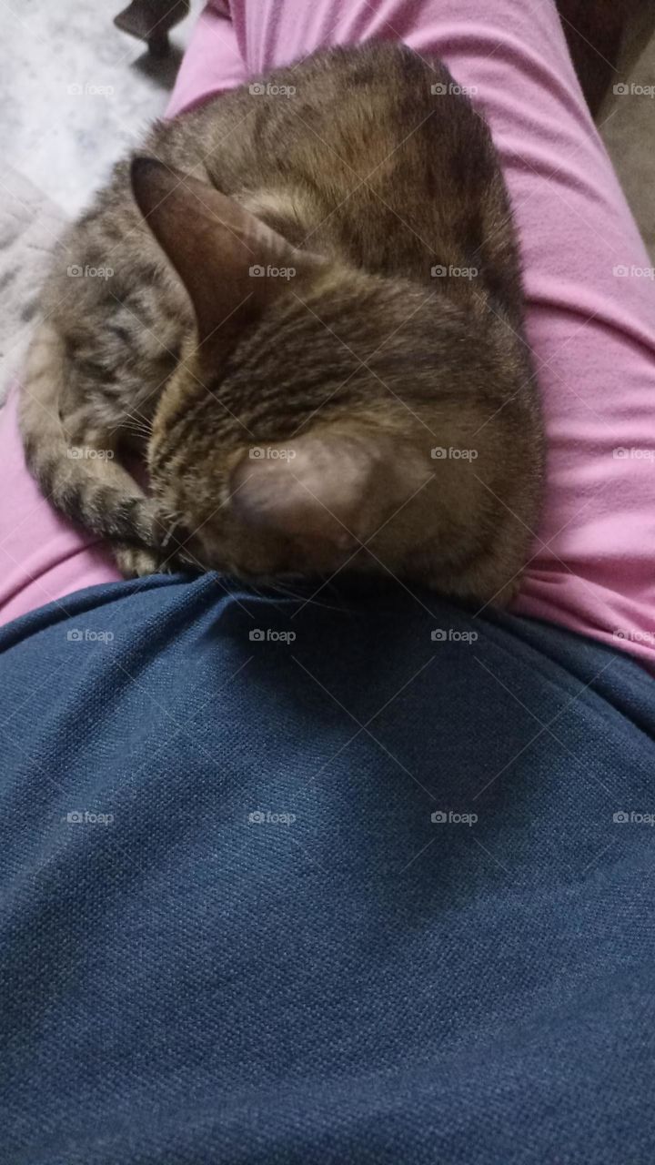 on my mother's lap