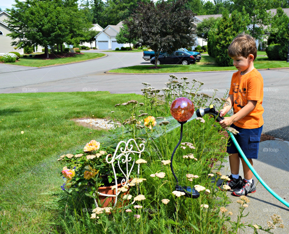 Gardening 