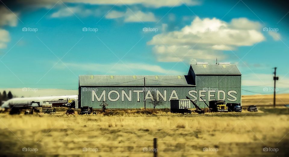 Rural Montana 