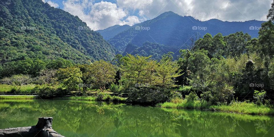calm and so relaxing beauty of nature