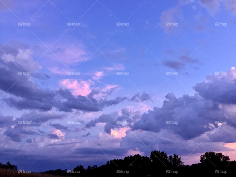 A blue sky with lavender and pink clouds over a silhouetted tree line