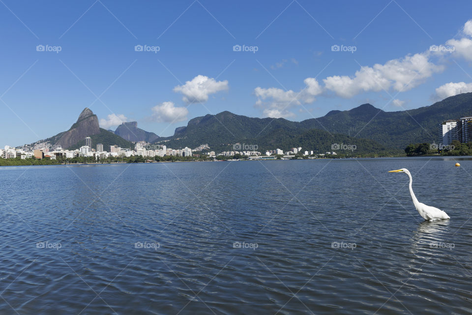 Rodrigo de Freitas Lagoon in Rio de Janeiro Brazil.