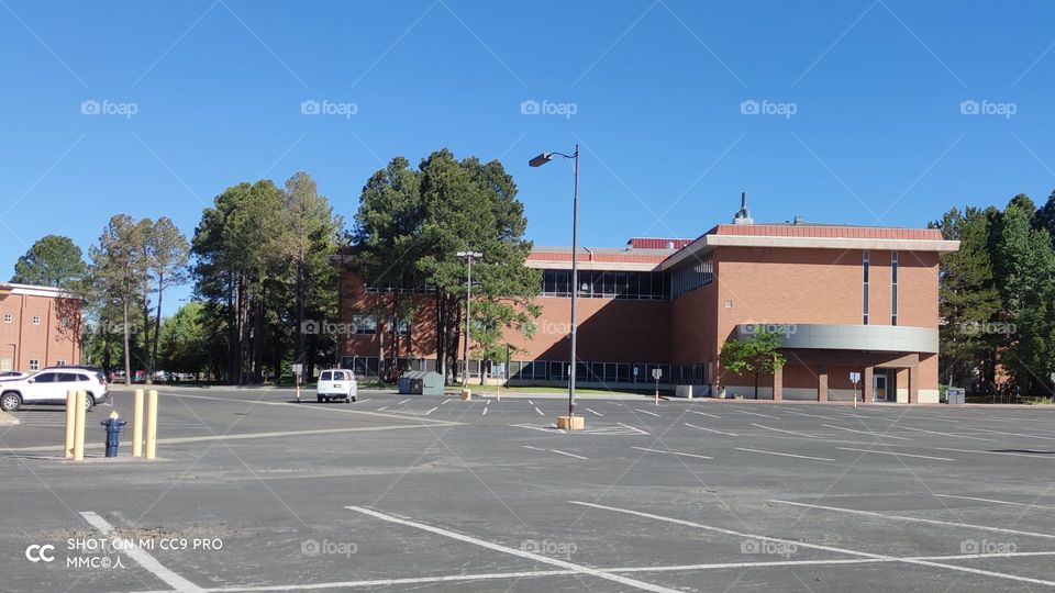 schools and universities series