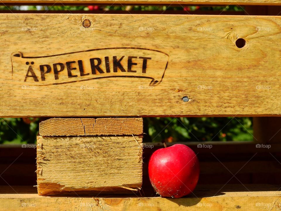 Apple production Pomonadalen Österlen