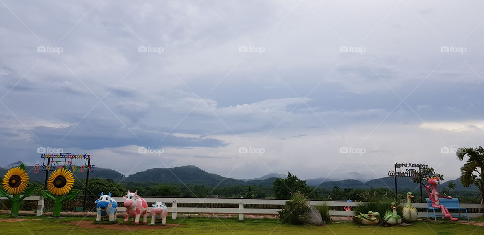 Nature in the countryside