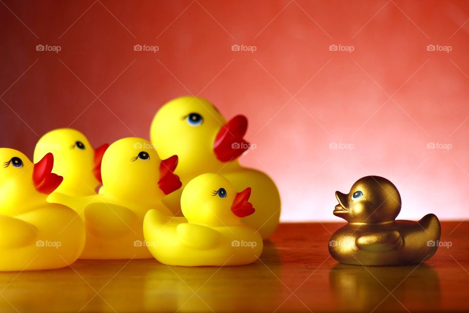 rubber duckies and one golden rubber duckling