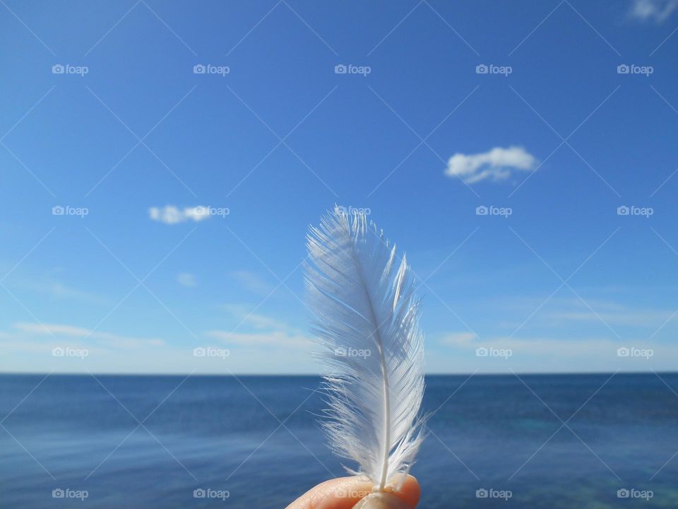 sea blue sky background and white feather in the hand summer vacation, lifestyle