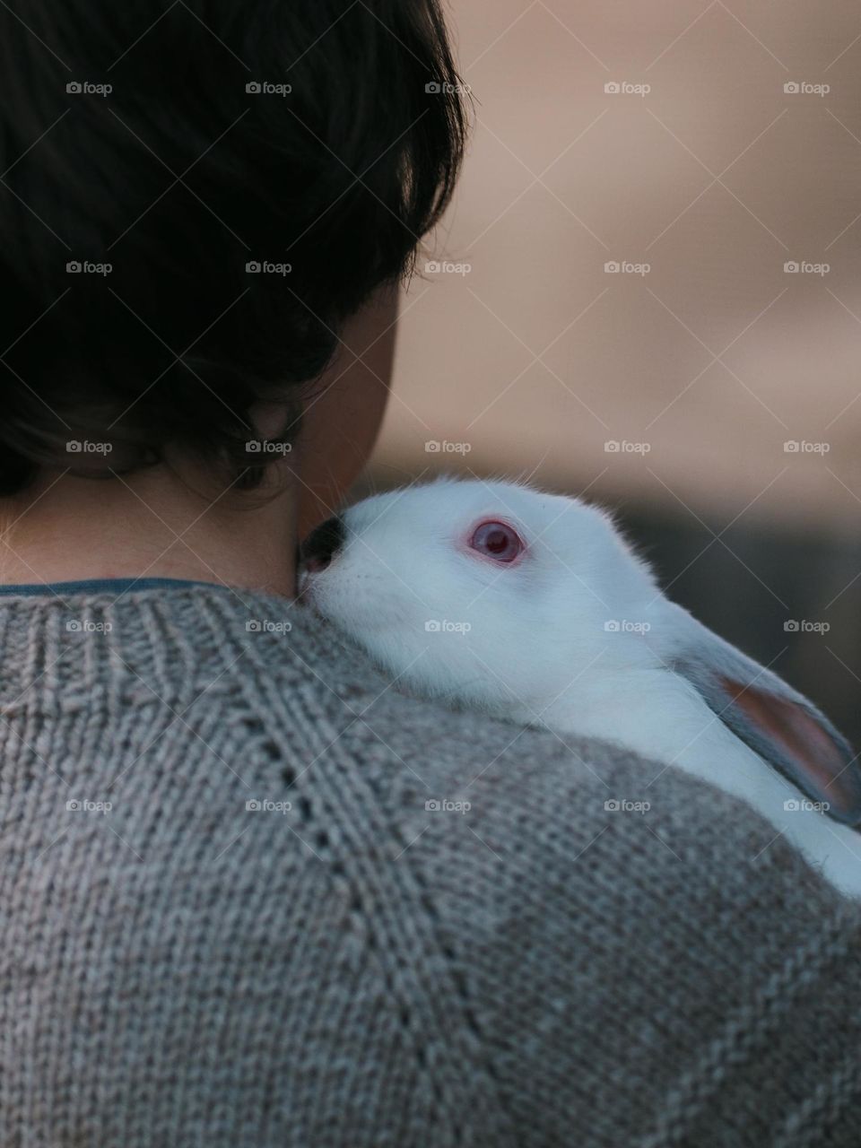 A cute little boy with dark hair in a gray knit sweater is holding a little white rabbit, happy Easter, friendship and love concept 