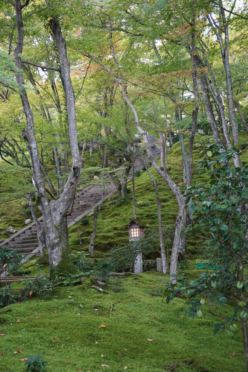 Temple garden