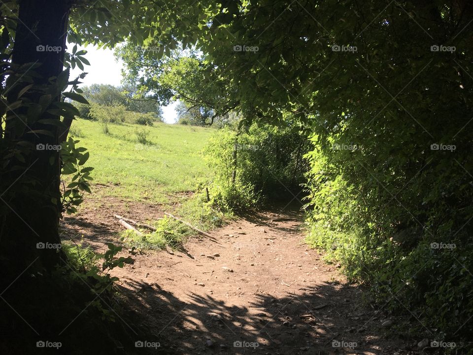 Perhaps end of tunnel 