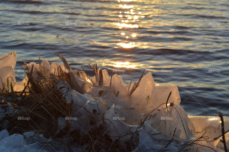 the grass and the river