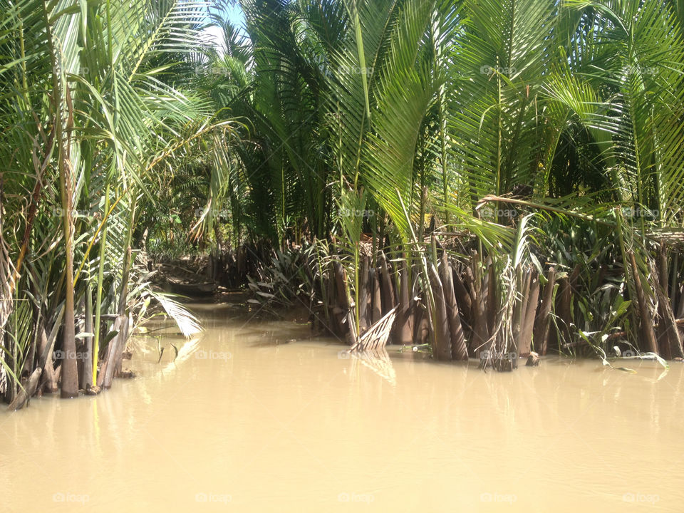Mekong Delta