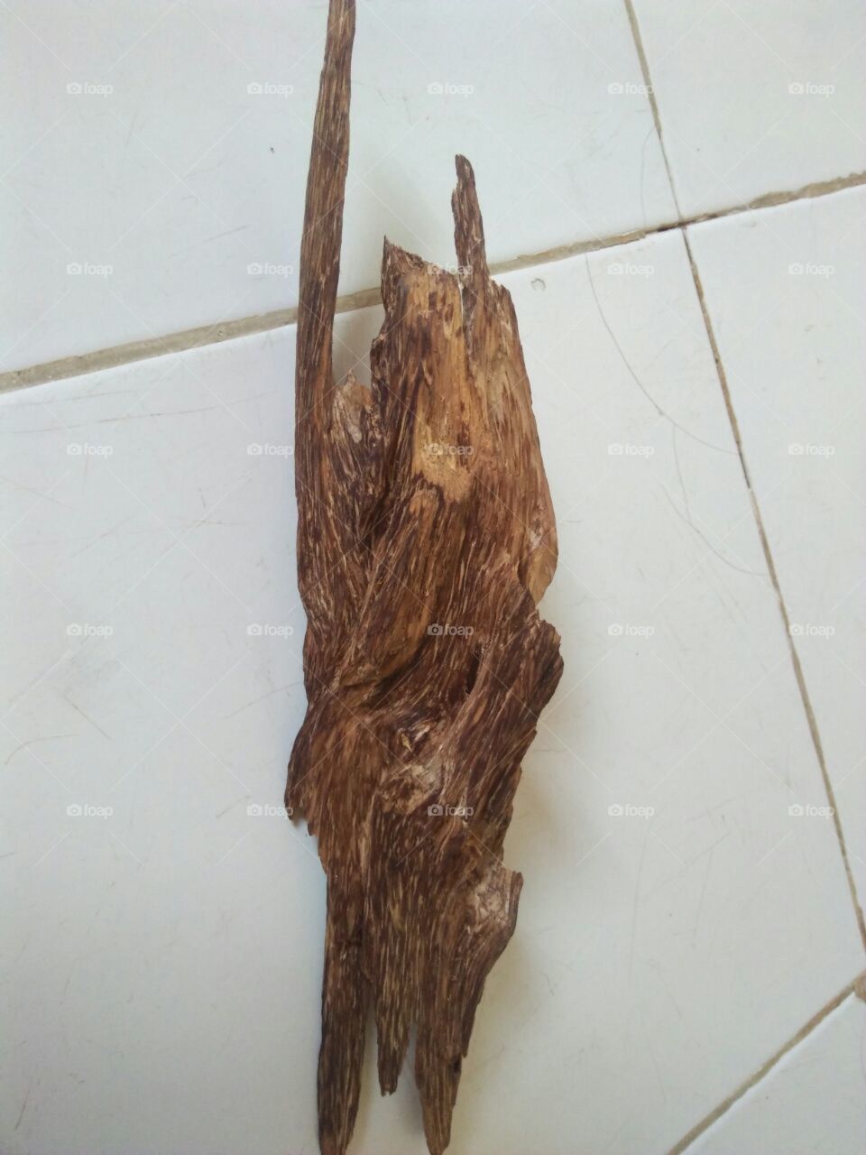 This agarwood from borneo