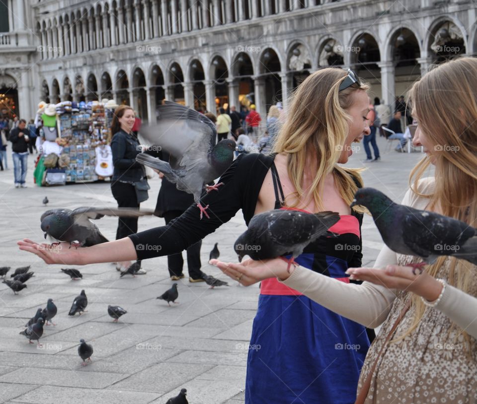 Feeding pigeons 