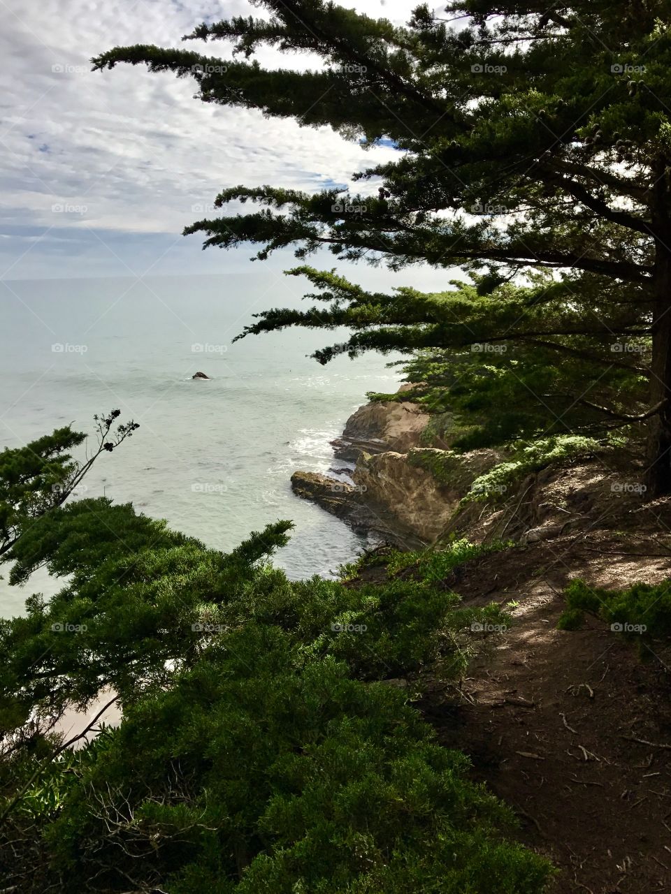 A peek at the coastline