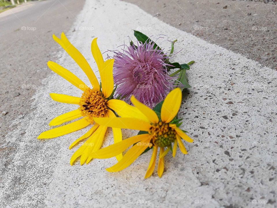 Just an old Oklahoma road