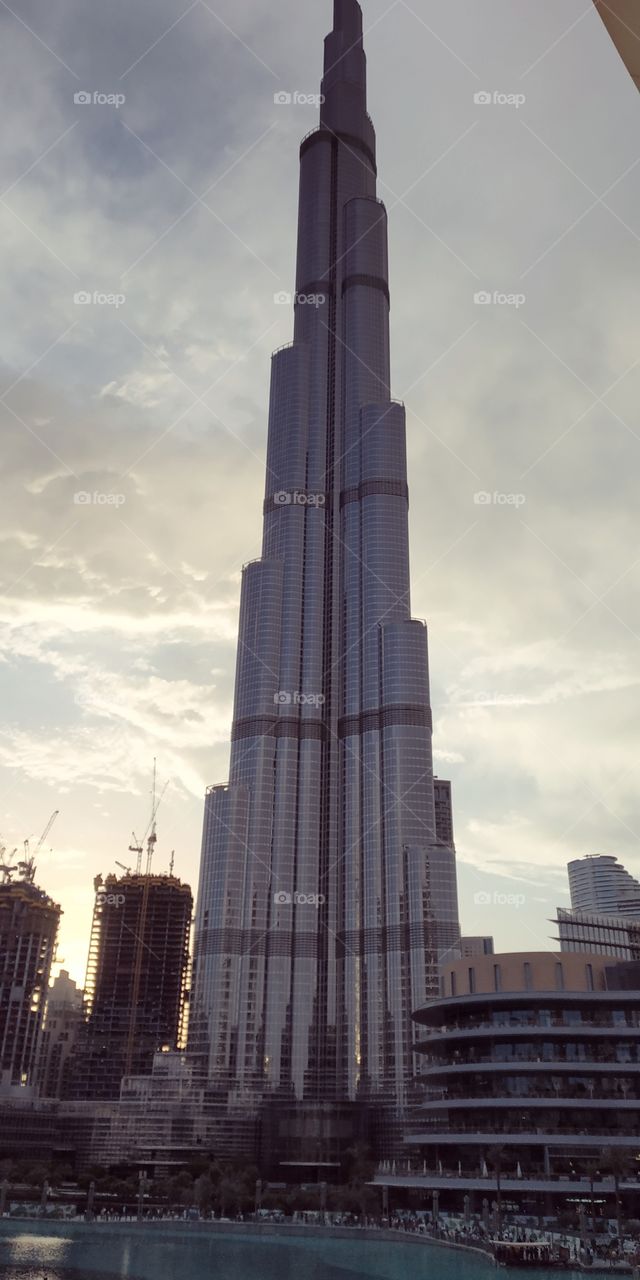 editors' choice: photo of the week