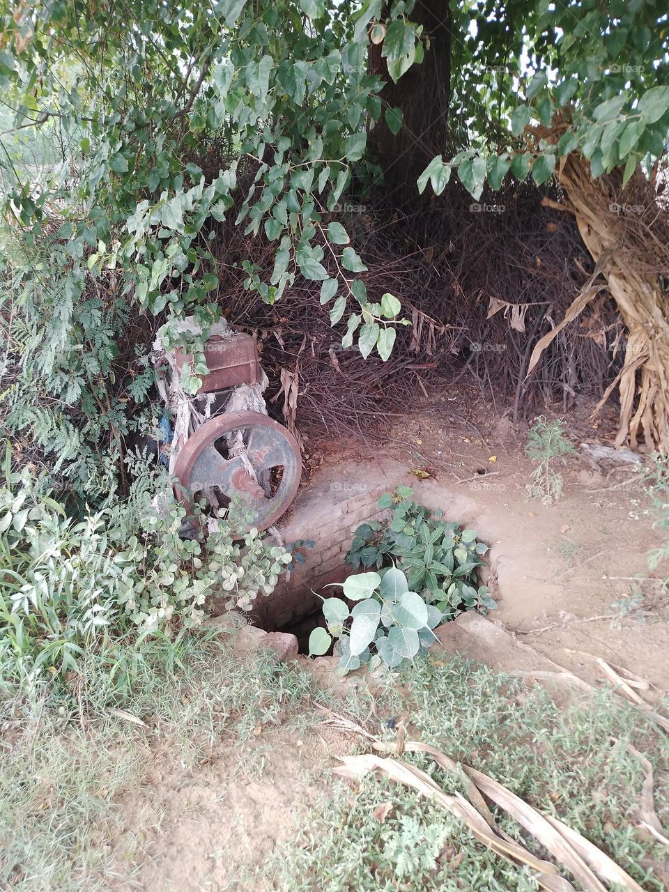 old water pump