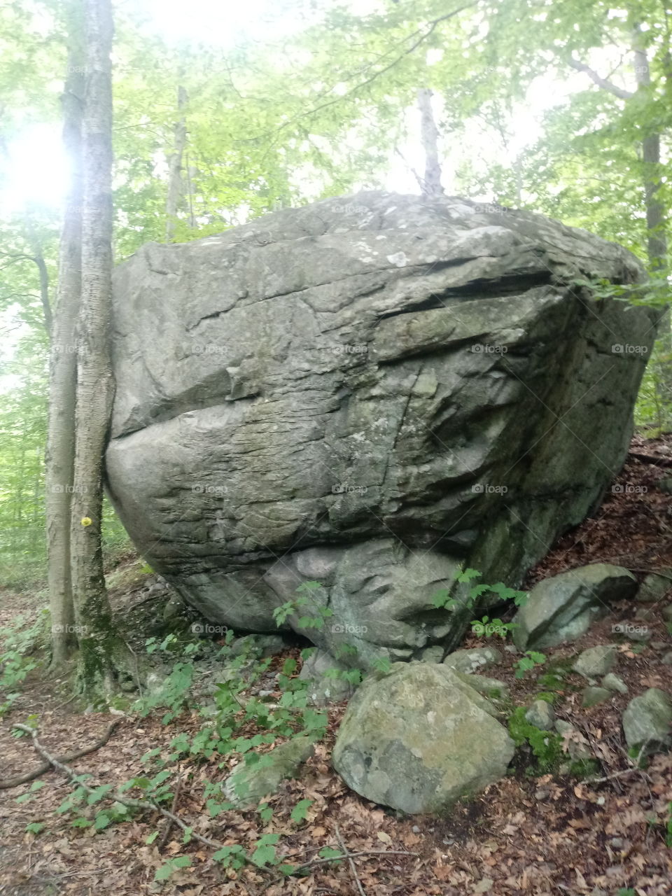 This was a gigantic rock I found during my hiking trip. At least fifteen feet high.