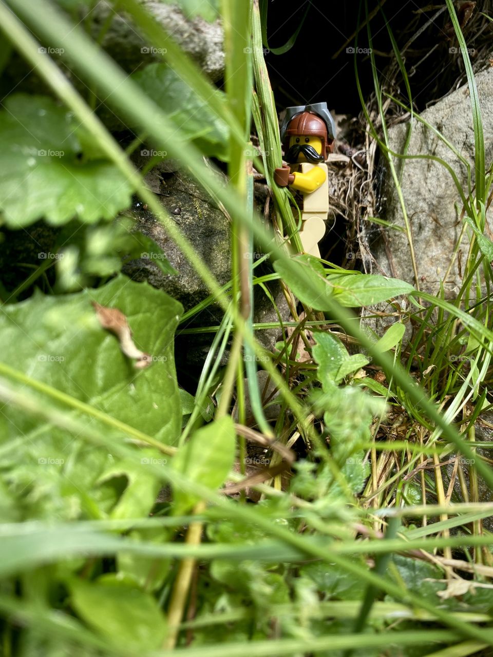 Vine Descent