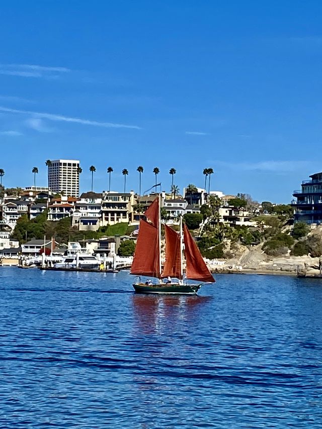 View of sailboat going out into the ocean from West Jetty View Park