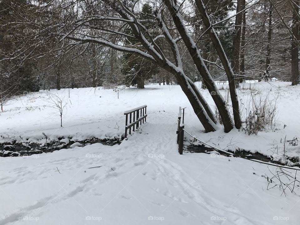 Snowy bridge in the woods