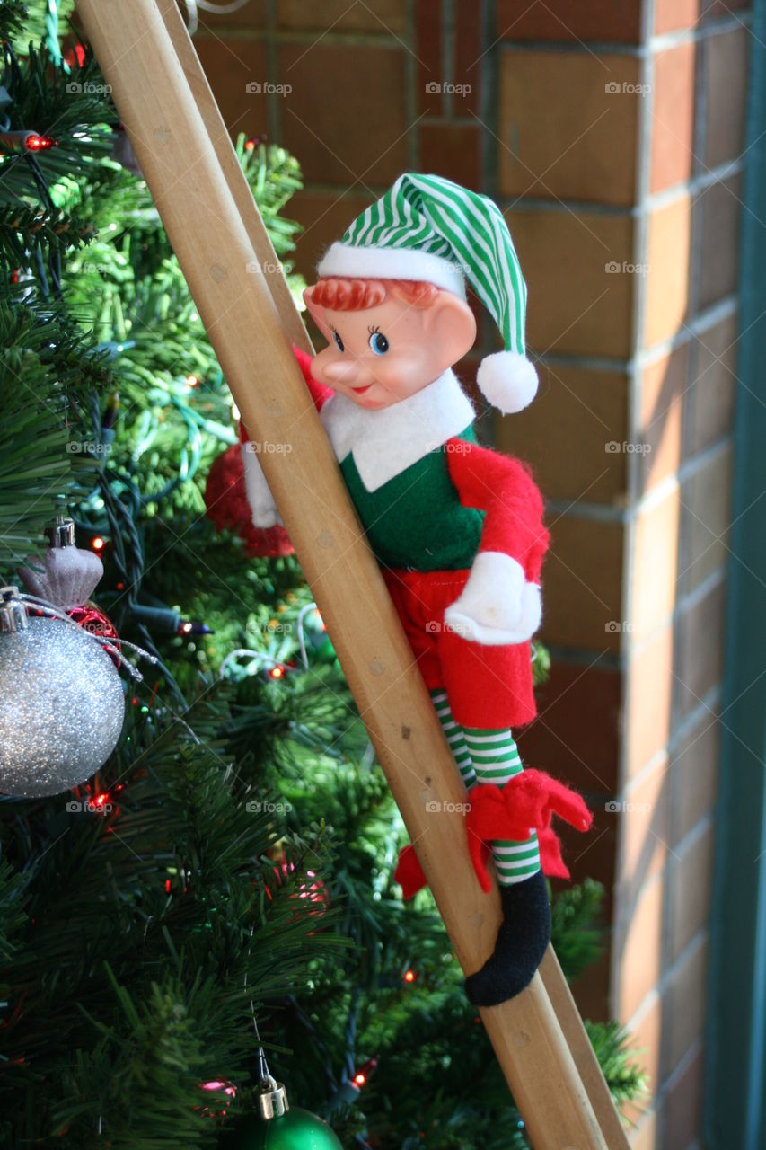 Elf on a Shelf