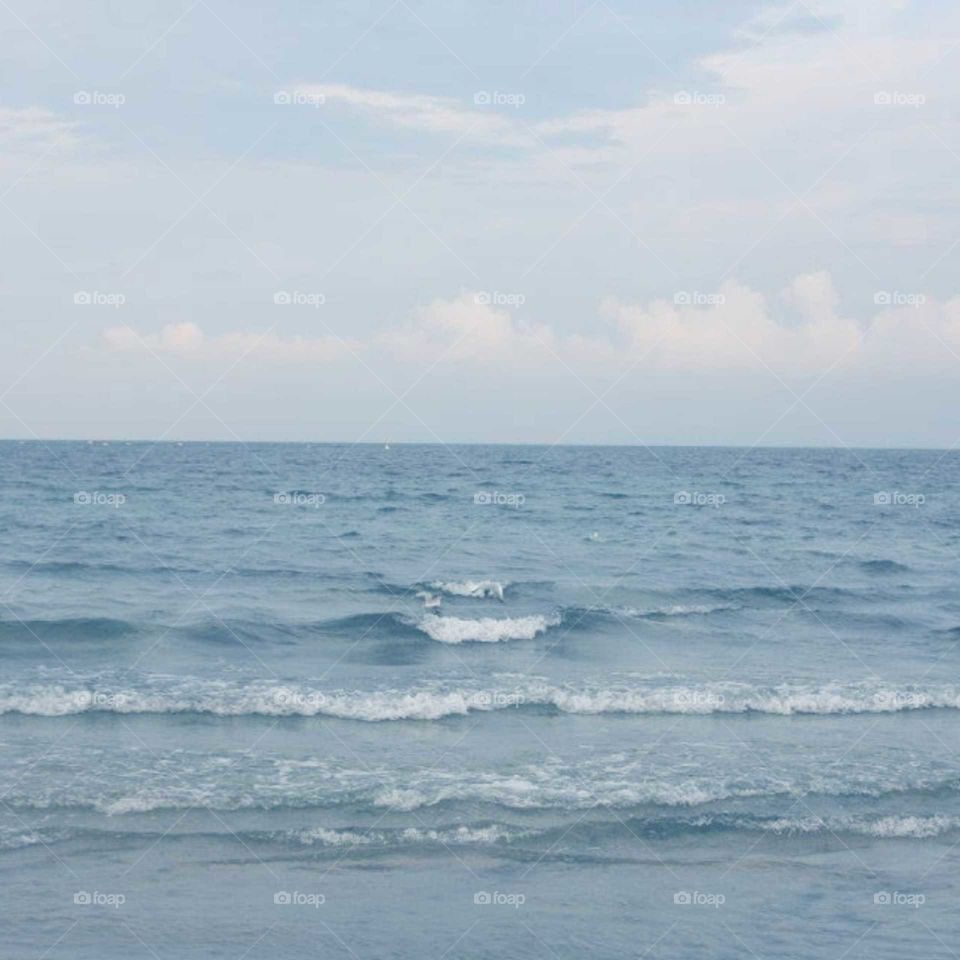 sea