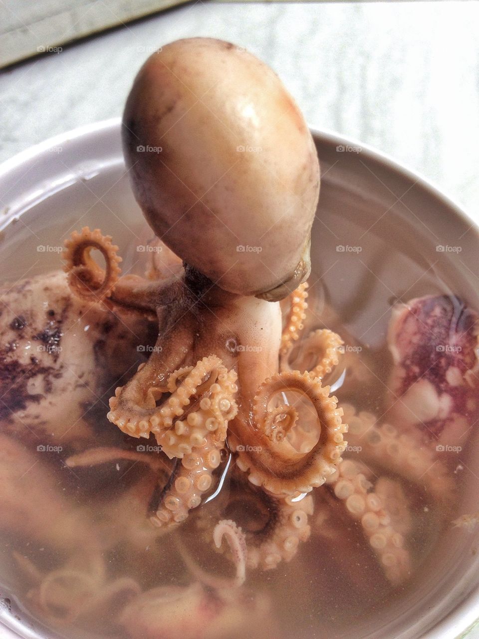 Salted octopus