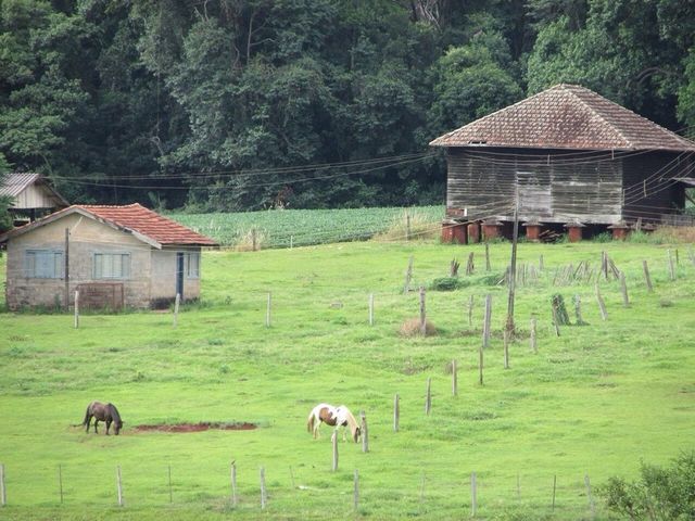 Brazil 
