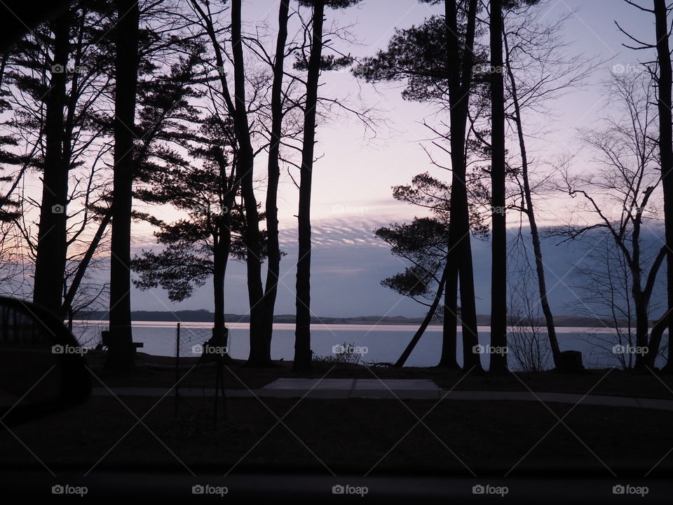 Trees at a lake after sunset