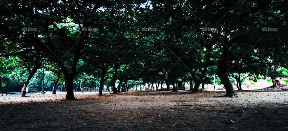 sneh botanical garden, surat