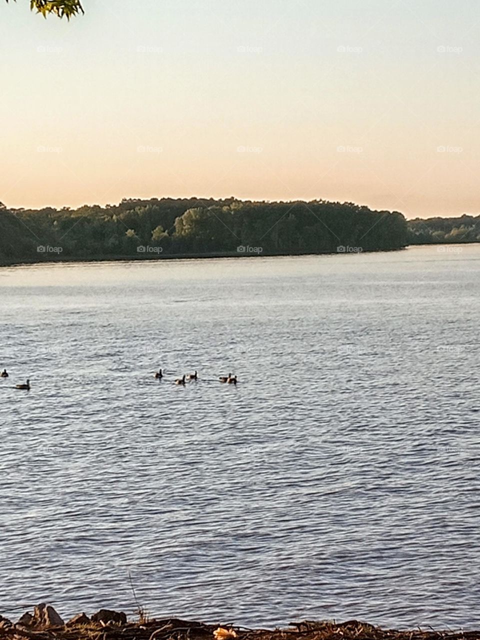 Out at one of the Lakes in my area