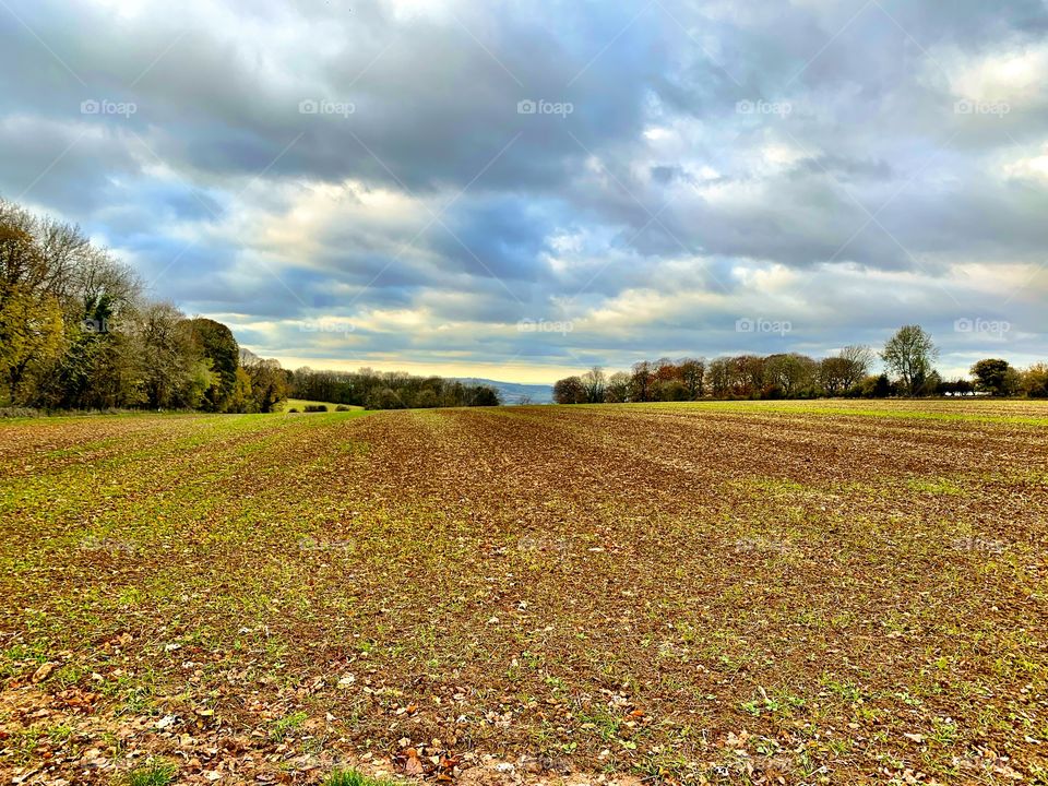 Autumn ploughed field