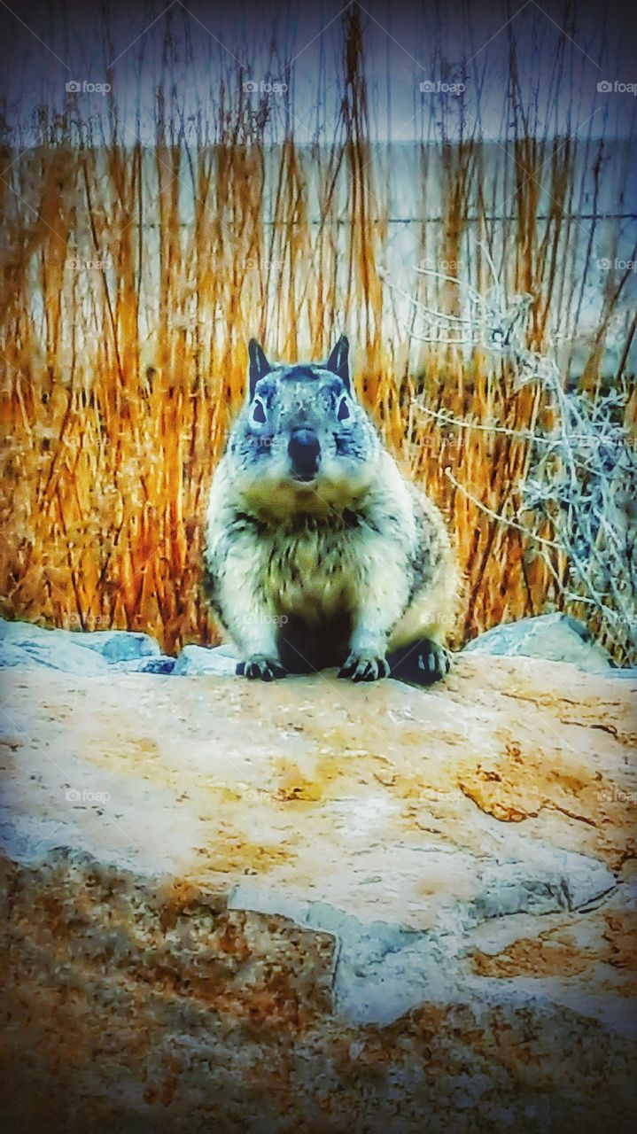 living BEAUTIFULLY & WONDERFULLY Made